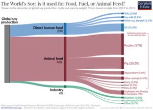 Soy usage chart: 76% animal feed, 20% direct human food. Change habits for animals and consider plant-based options this year.