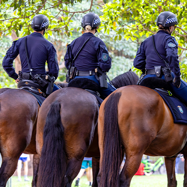 Three mounted police officers, backs to the viewer, on horseback. Policing protest, crowd control, and law enforcement presence visible.