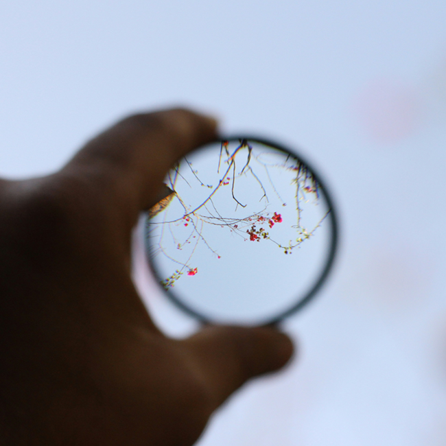 Critical Thinking Ethics Explainer: Hand holding a magnifying glass focusing on blossoming tree branches against a pale blue sky, exploring details.
