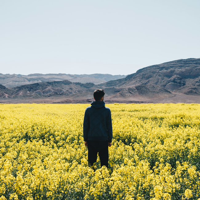 A man in a dark hoodie stands alone amidst a vast field of vibrant yellow flowers with rugged desert mountains behind him