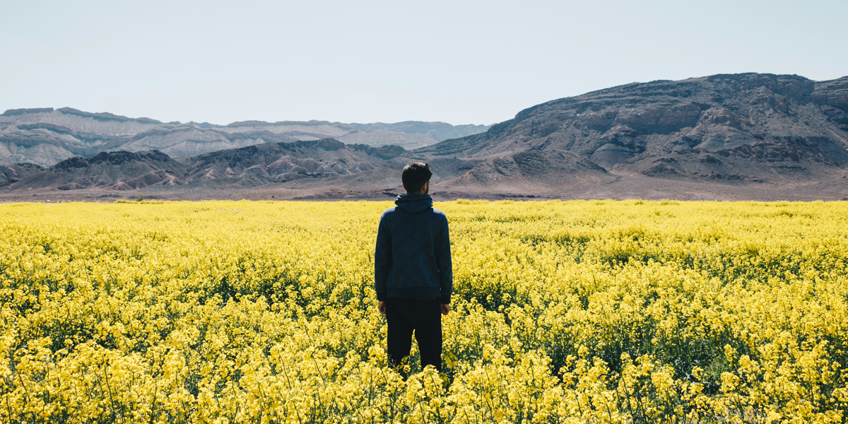 Young person looking out at a scenic yellow wildflower meadow with distant layered mountains showing being better is possible