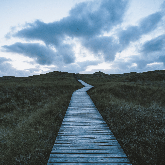 A wooden boardwalk path winding through grassy sand dunes under a moody cloudy sky illustrating complexity is not beyond us