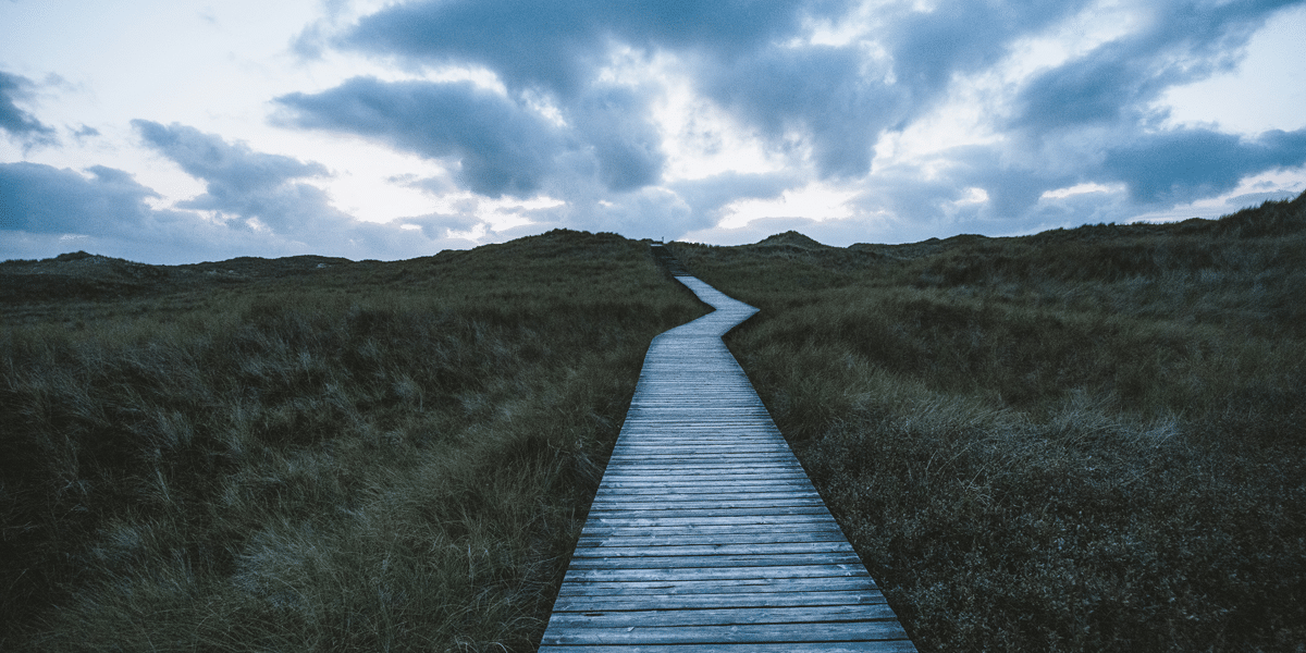 Vast coastal landscape with a timber walkway leading toward distant hills shows that complexity is not beyond us today here