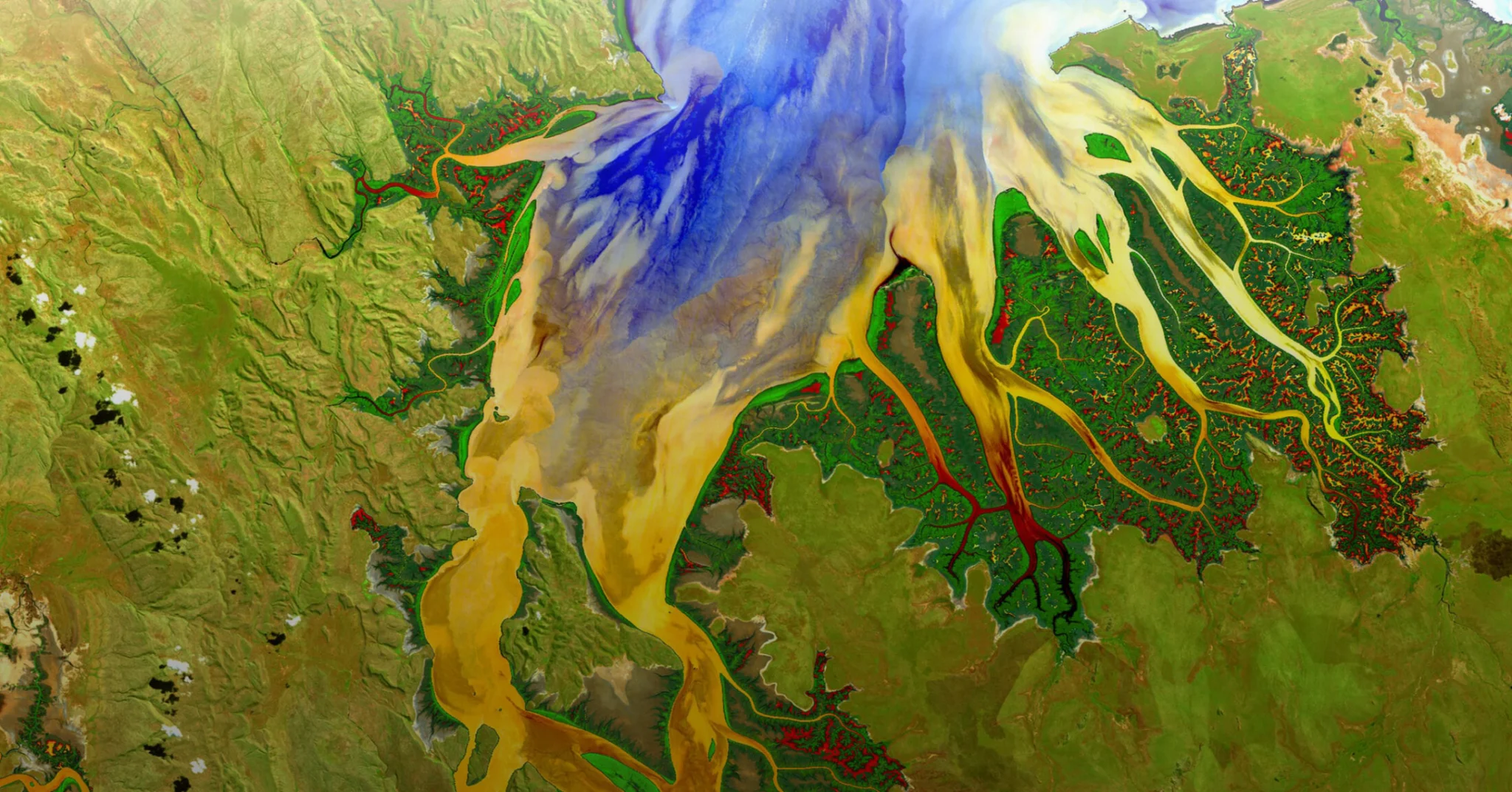 Satellite view of a river delta with blue, yellow, and green hues. The river branches out into many streams as it approaches the coast.